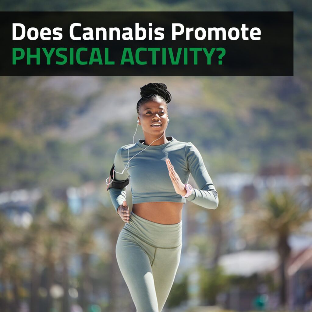 Does Cannabis Promote Physical Activity?