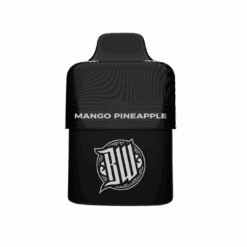 BEWOLK BAR - Mango Pineapple - Flavour Pod