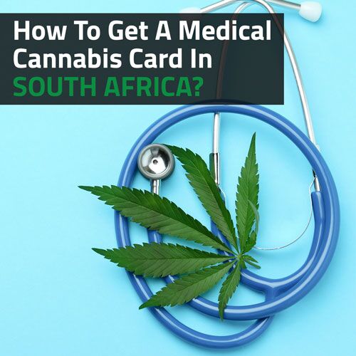 How-to-get-a-medical-cannabis-card-in-south-africa