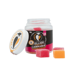 Zootly CBD Jellies Jar - Tutti Fruity (60mg)